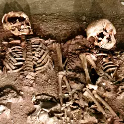 Древни скелети изненадаха работници в Пловдив