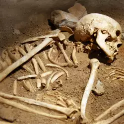 Откриха скелети на булка и бебе при разкопки