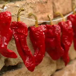 How to Dry Peppers