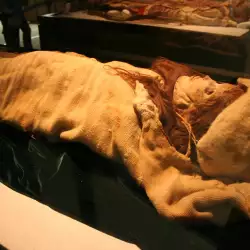 The Tarim Mummies of Xinjiang