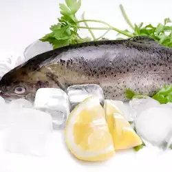Черният дроб на риба треска е ценен източник на витамин А и D