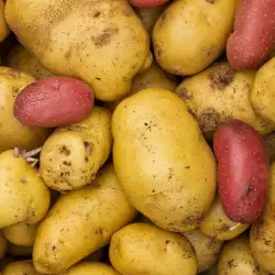 Cooking Potatoes and Potato Varieties