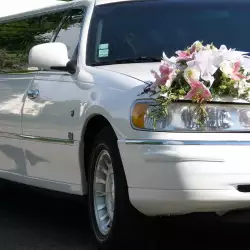 Как да декорирате сватбения автомобил?