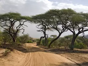 Природни Забележителности - Снимка Национален парк в Африка