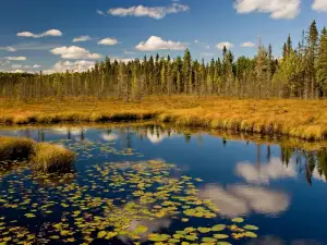 Най-красивите национални паркове - Снимка Природен парк Алгонкин, Канада