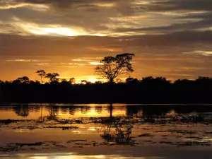 Природни Забележителности - Снимка Река Амазонка