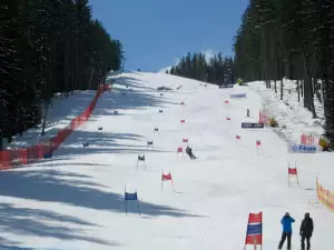 First place in the slalom for Ricardo Patreze