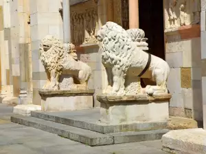 Лъвов Моденска Катедрала