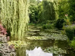 Природни Забележителности - Снимка Красивите градини на Клод Моне