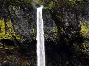 Най-красивите водопади в света - Снимка Elowah Falls
