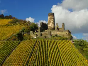 Средновековни замъци и крепости - Снимка Fürstenberg Castle в Германия