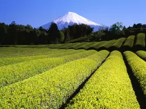 Най-красивите планини в света - Снимка Фиджи в Япония