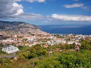 Ostrvo Madeira
