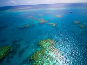 Природни Забележителности - Снимка Големия бариерен риф
