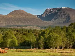 Най-красивите национални паркове - Снимка Шотландските Хайлендс