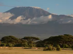 Килиманджаро, Танзания