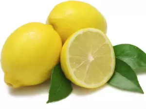 Sastav limuna