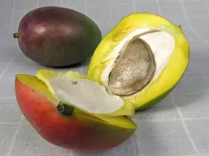 Voće mango