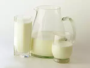 Sudovi sa mlekom
