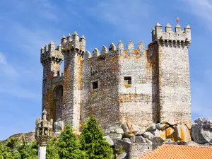 Средновековни замъци и крепости - Снимка Пенедоно