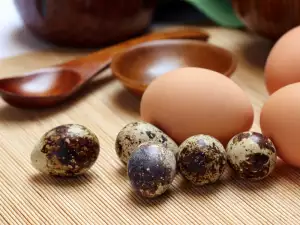 Jaja od prepelice i kokoši