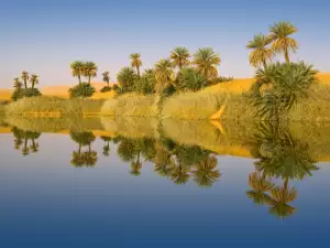 Sahara oasis