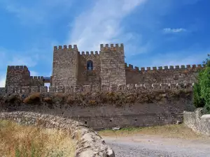 Средновековни замъци и крепости - Снимка Замъкът Тружило в Испания