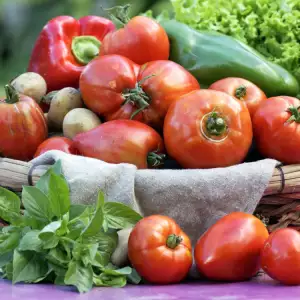 Разлика между домати сорт Ръгби и сорт Рома