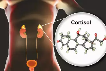 Какво повишава нивата на кортизол?