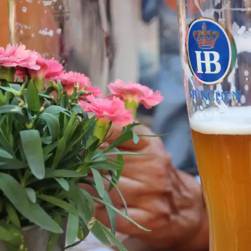 Полезно ли е да подхранваме цветята с бира?