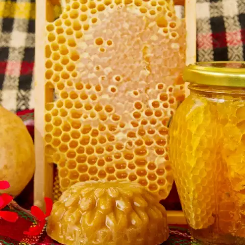 Пчелното млечице е богат източник на протеини