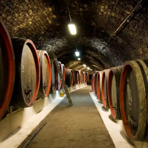Вкарват повече пари в лозаро-винарския сектор