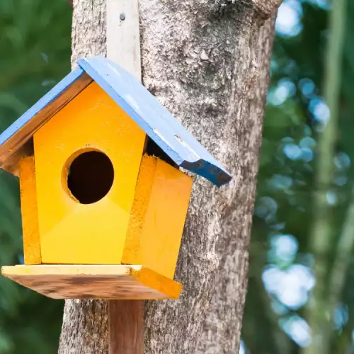 Как да направим къщичка за птици?