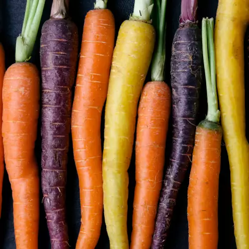 Популярни сортове моркови за градината
