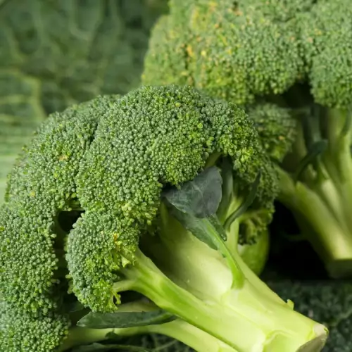 Zašto je neophodno da jedemo brokoli?