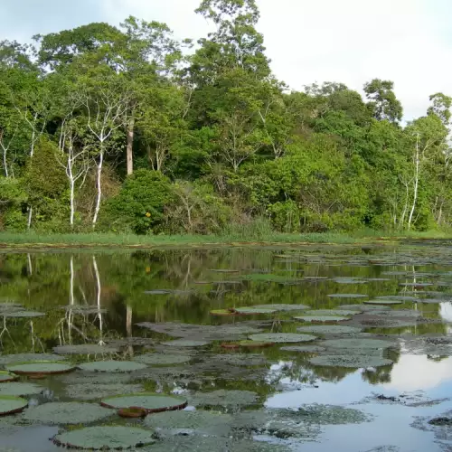 Комплексът от резервати в централна Амазония