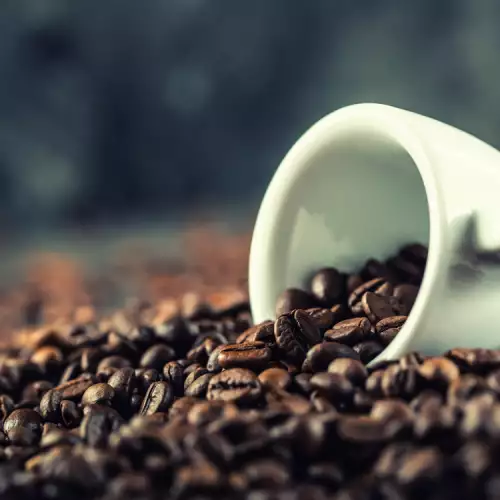 Cafea Robusta - ce trebuie să știm despre ea