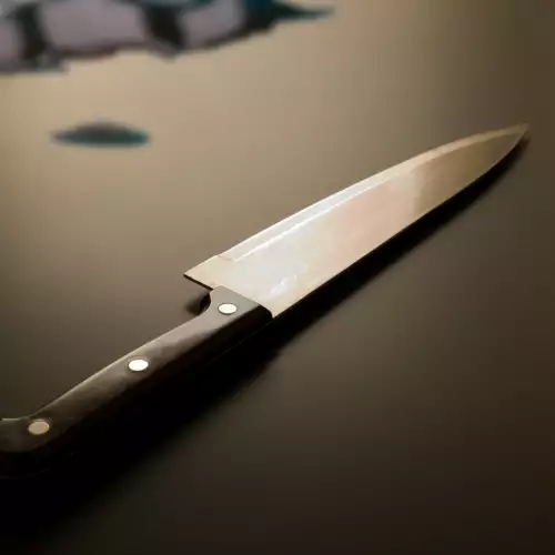 Как да изберем правилните кухненски ножове?