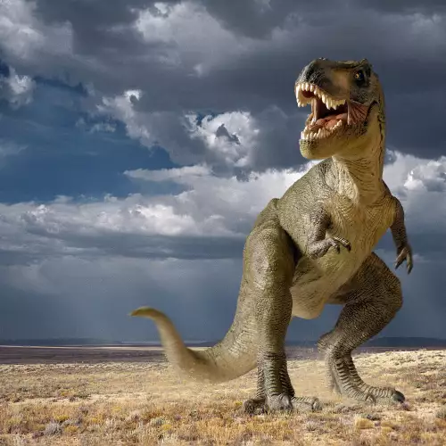 Paleontologists Discover New Species of Dinosaur That Lived 200 Million Years Ago