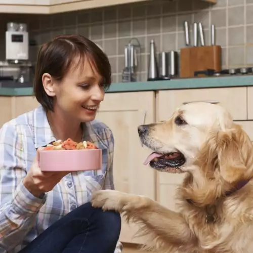 Могат ли кучетата да ядат пуешко?