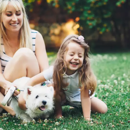 Страх от кучета при деца: как се преодолява?