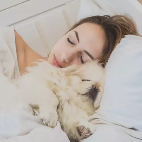 Може ли кучето да реши проблемите ни със съня?