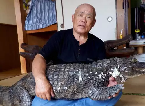 Какво е да отглеждаш алигатор за домашен любимец 34 години
