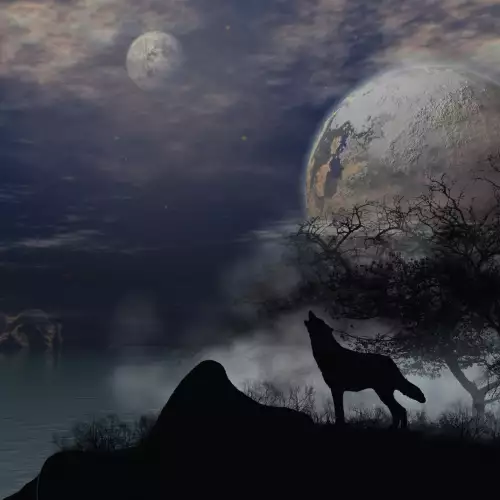 Сънища с кучета, вълци