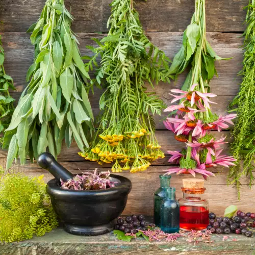 Cele mai benefice plante medicinale și condimente