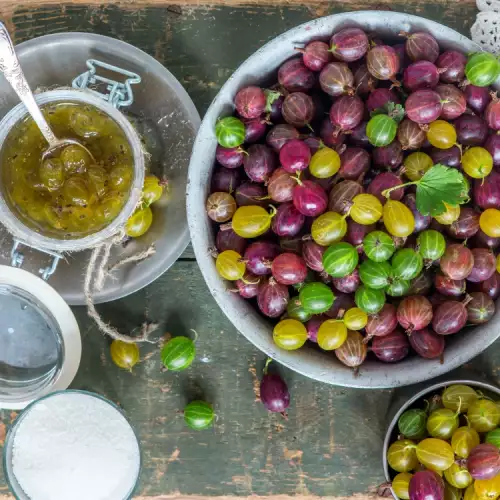 Да си направим сироп и сладко от цариградско грозде