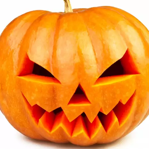 Why is the Pumpkin the Primary Symbol of Halloween?