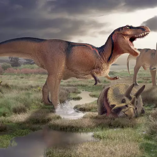 Щраусите летели по времето на динозаврите