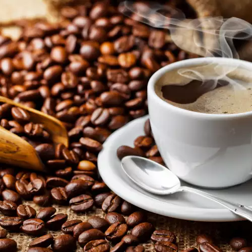 Arabica koffie - wat we moeten weten