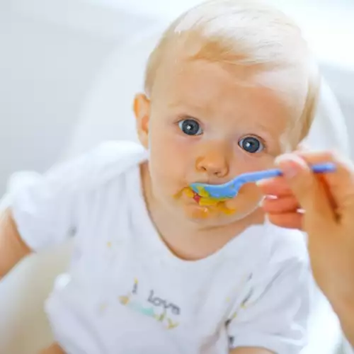 Primer jelovnika za bebe od 6 meseci